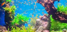 海立方海洋公园1