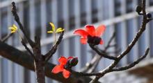 番禺广场16
