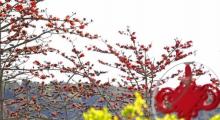 番禺广场14