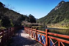 五指山17