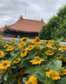 南海观音寺8