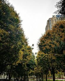 雕塑公园4