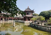 碧江金楼4