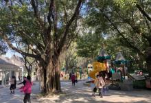 珠江公园28