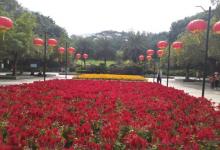 珠江公园27