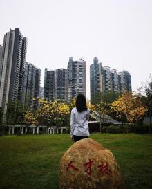 珠江公园24
