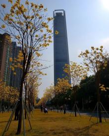 珠江公园14