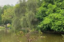 珠江公园7