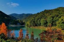 世间香境・七溪地1