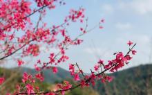 世间香境・七溪地7