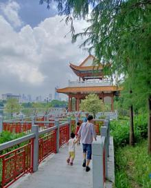 东山湖公园30