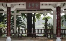 东山湖公园7