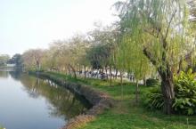 东山湖公园6