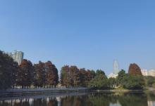 东山湖公园12