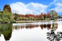 东山湖公园17