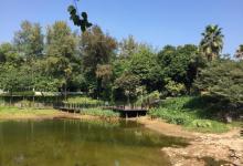 麓湖公园30