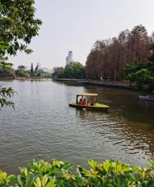 流花湖公园16