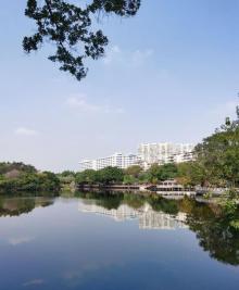 流花湖公园17