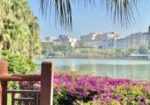 流花湖公园28