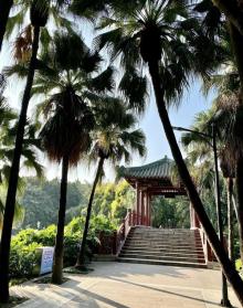 流花湖公园23