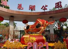 流花湖公园12