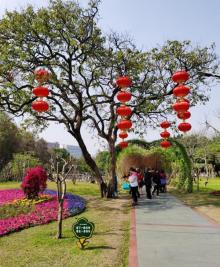 流花湖公园19