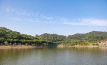 大夫山森林公园1