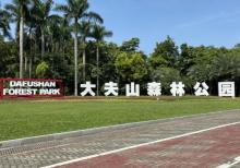 大夫山森林公园30