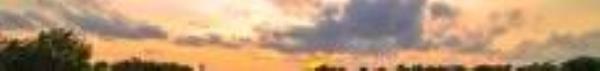 海珠湖公园7