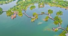 海珠湖公园23