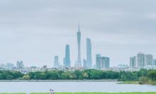 海珠湖公园18