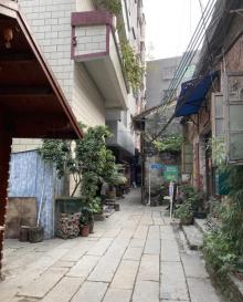 小洲村30