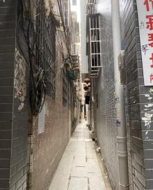 小洲村29