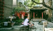 小洲村10