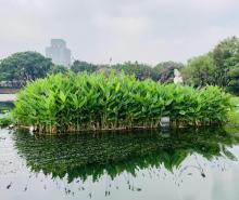 广州荔枝湾游船5
