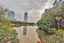 广州市儿童公园13