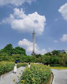 二沙岛12