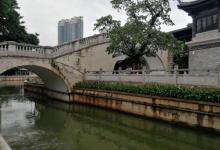 荔枝湾涌23