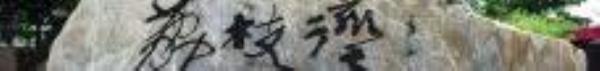 荔枝湾涌12