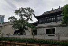 荔枝湾涌25