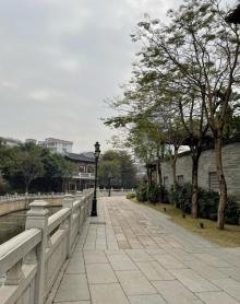 荔枝湾涌14