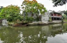 荔枝湾涌8