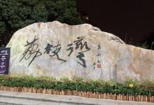 荔枝湾涌22