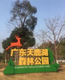 天鹿湖森林公园24