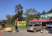 天鹿湖森林公园27