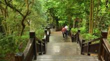 天鹿湖森林公园15