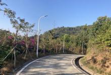 天鹿湖森林公园25