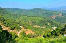 天鹿湖森林公园14