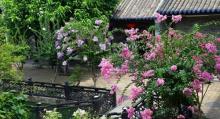 余荫山房7