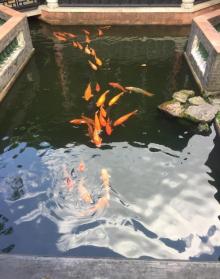 清晖园博物馆11